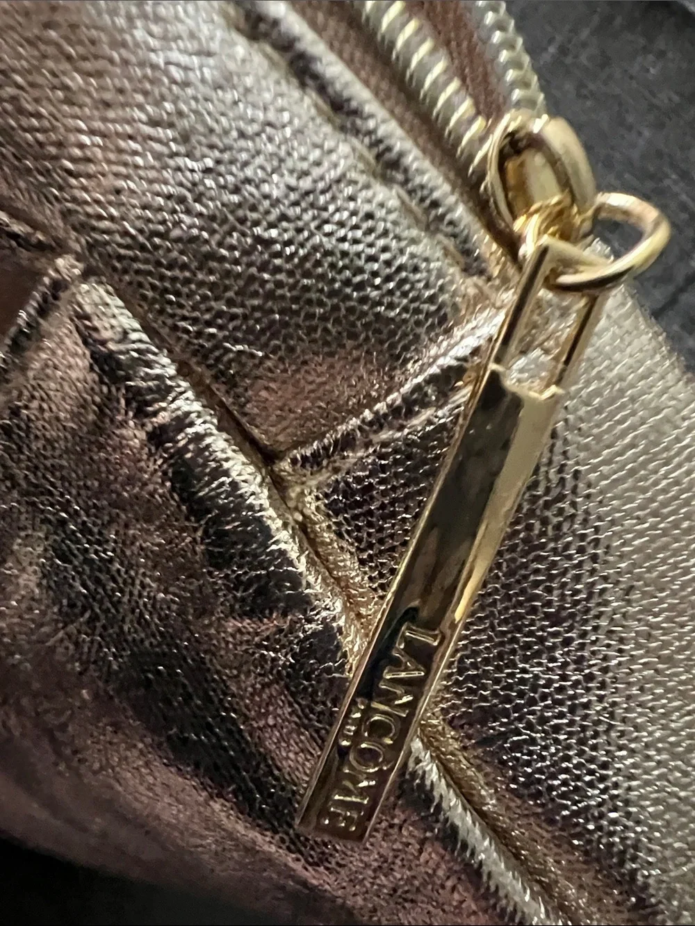Metallic Gold Cosmetic Pouch